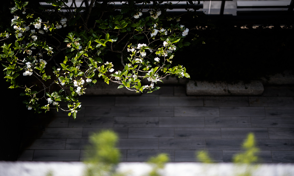 山賦．實景攝影