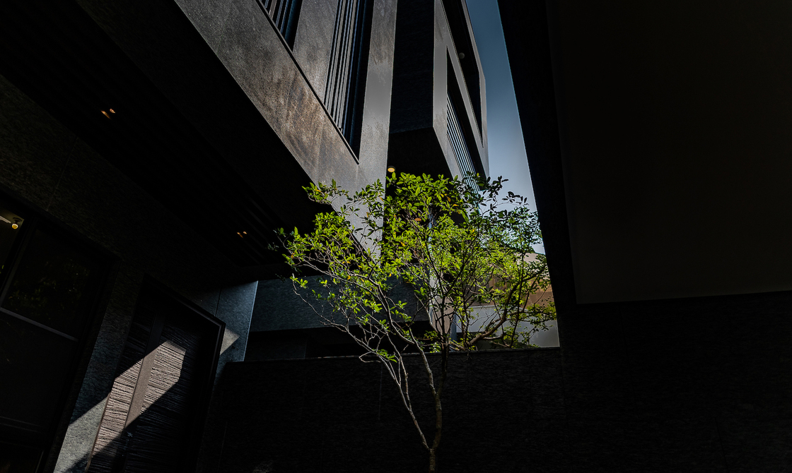 錦園邸·實景攝影