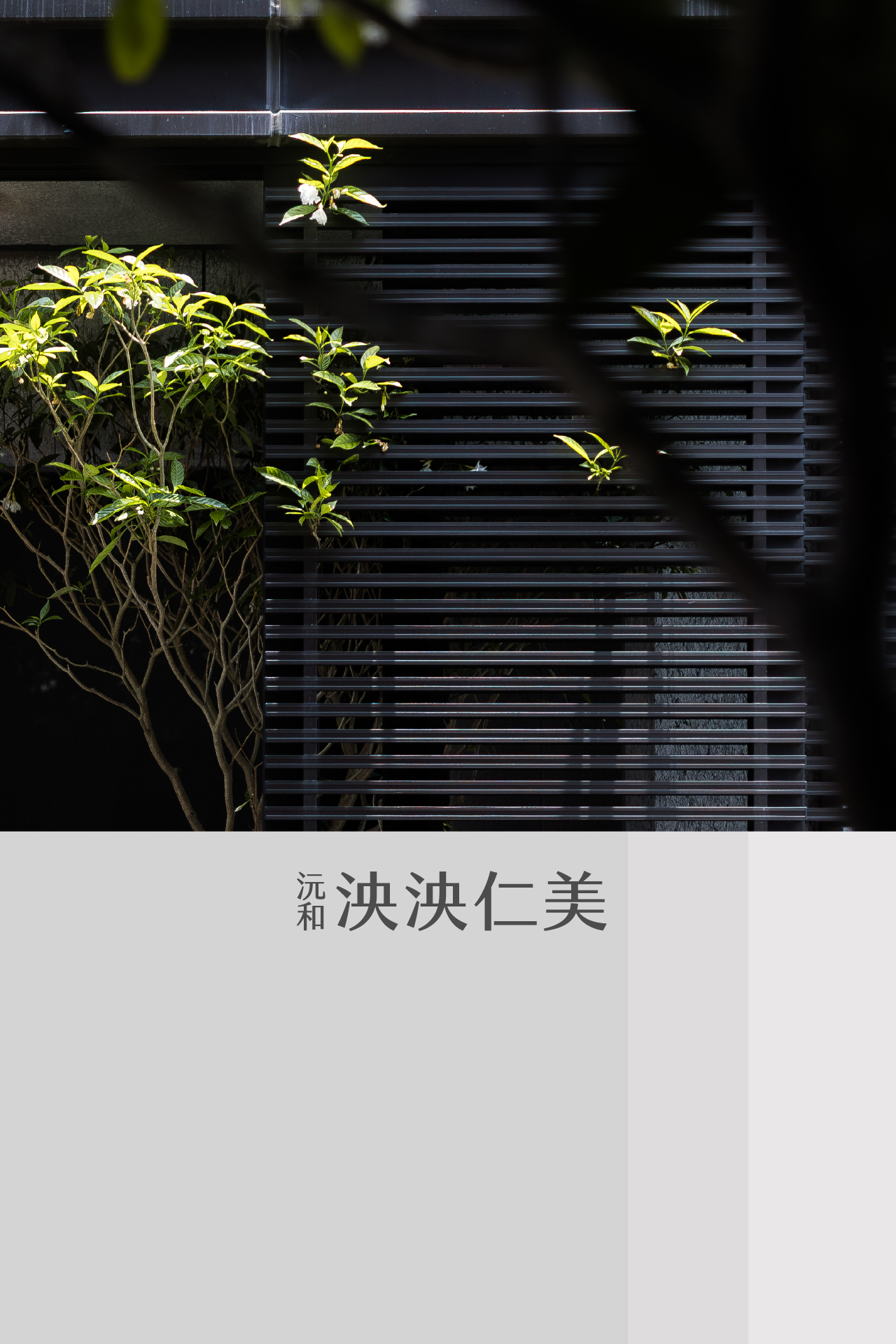 泱泱仁美