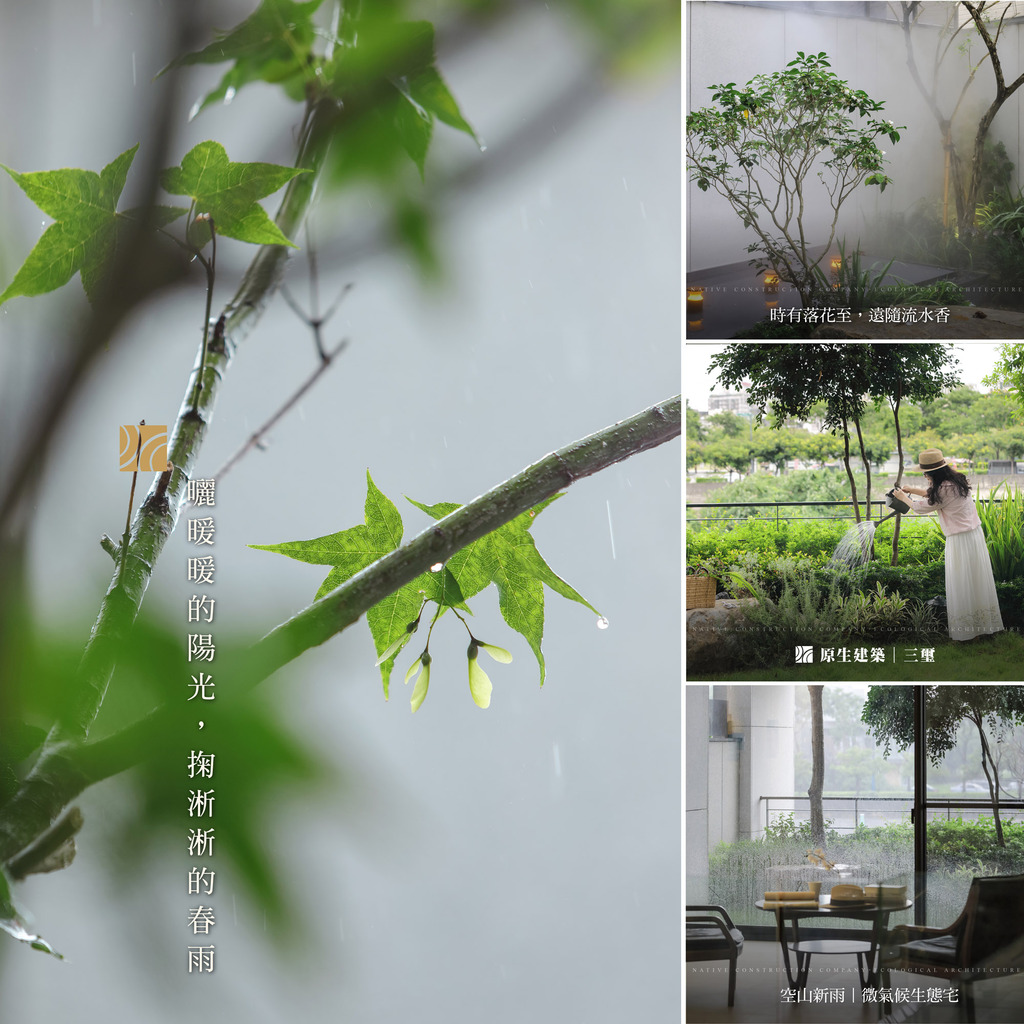 雨水篇 /  FB貼文